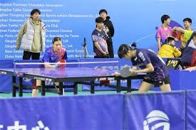 《宝可梦传说Z-A》新的六只MEGA宝可梦公布